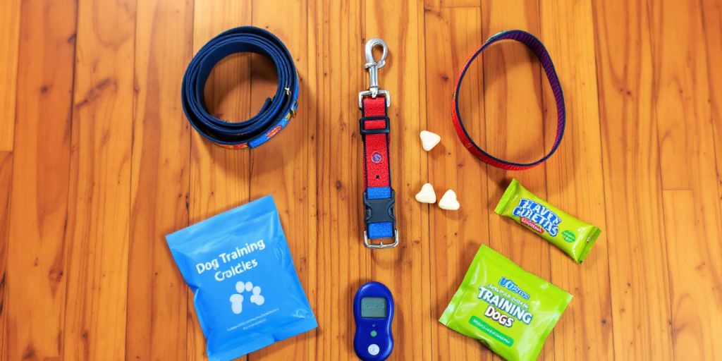 Dog training equipment: leash, collar, treats, and clicker.